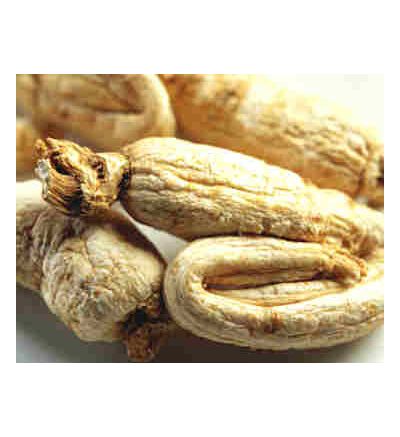 Ginseng, Red Chinese, tincture - 2oz (59.15ml)