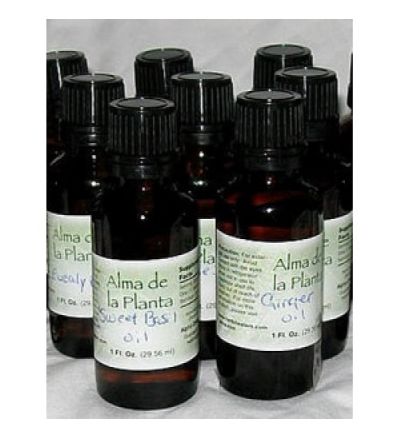 Papaya Oil - 30ml (Carica papaya)