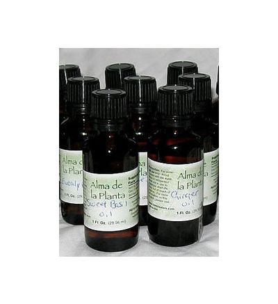 Clove (Leaf) - 30ml