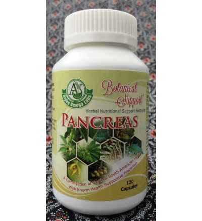 Botanical Support - Pancreatic - 120 Capsules x 500mg