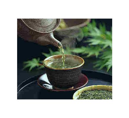 Green Tea, tincture - 4oz (118.3ml)