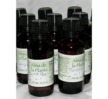 Papaya Oil - 30ml (Carica papaya)