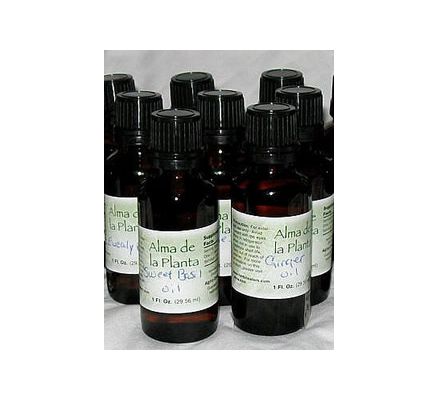 Clove (Leaf) - 30ml