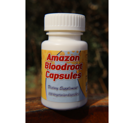 Amazon Bloodroot Capsules - 100 Vegetarian Capsules x 300mg