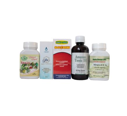 Botanical Support Bundle - Brain